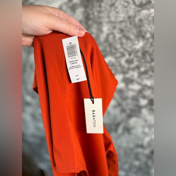 Babaton Contour Deep V-Neck Bodysuit - Picture 6 of 6